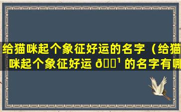 给猫咪起个象征好运的名字（给猫咪起个象征好运 🌹 的名字有哪些）